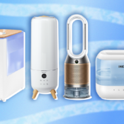 dehumidifier vs humidifier UK