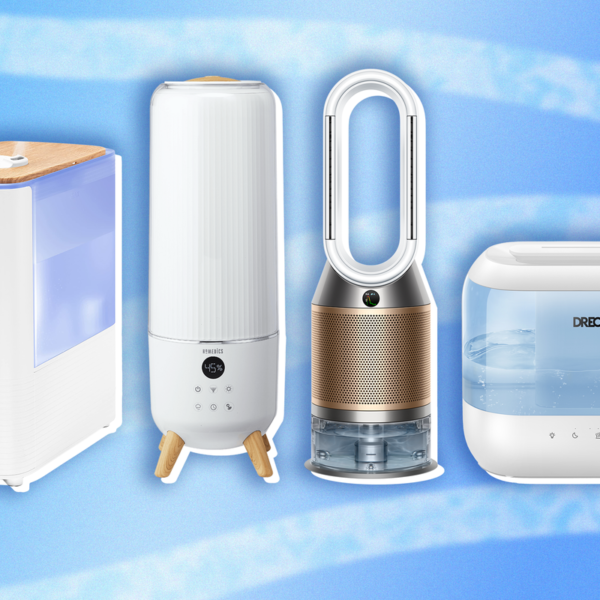 dehumidifier vs humidifier UK
